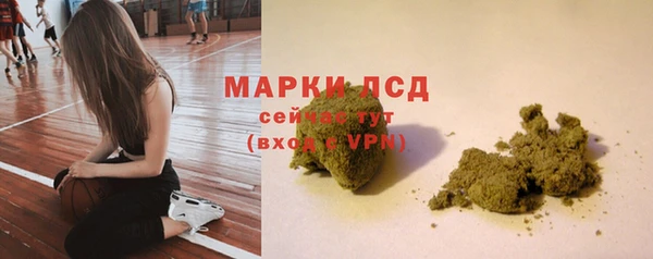 ГАЛЛЮЦИНОГЕННЫЕ ГРИБЫ Горно-Алтайск